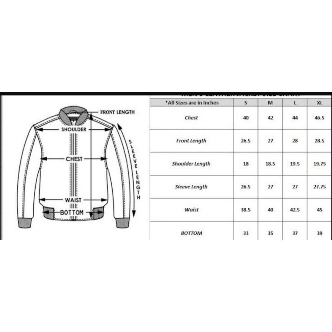 Lacoste jacket outlet size chart